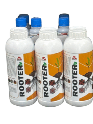 Rooter
