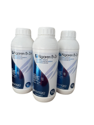 Algaren B-Zn