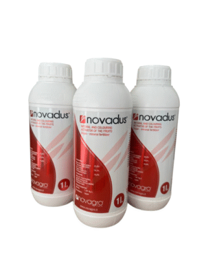 Novadus