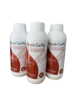 Acty Ca-Mg