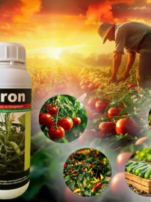 Viron