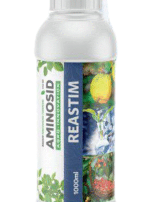 AMINOSID REASTIM