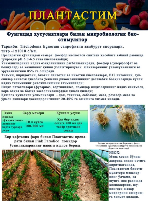 PLANTASTIM - Image 2