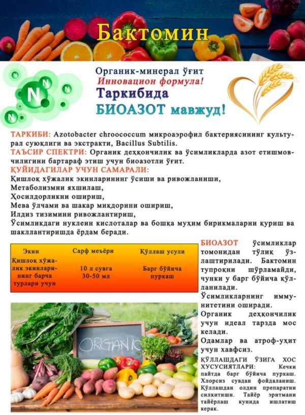 BAKTOMIN - Image 2