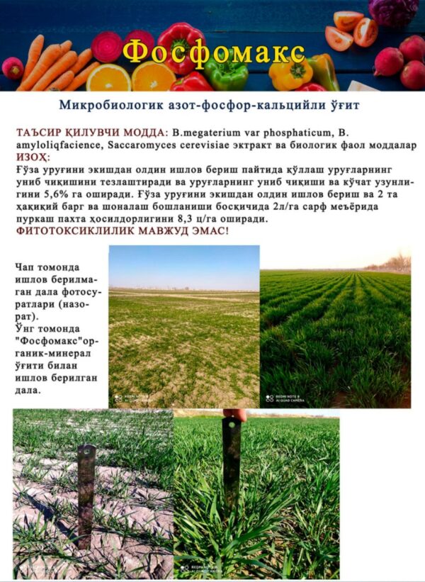 FOSFOMAX - Image 2