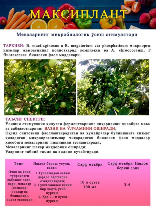 MAXIPLANT - Image 2