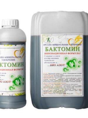 BAKTOMIN