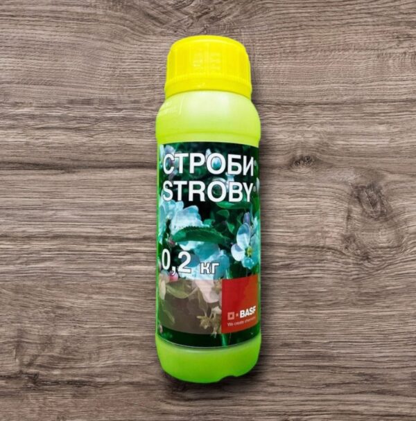 Strobi