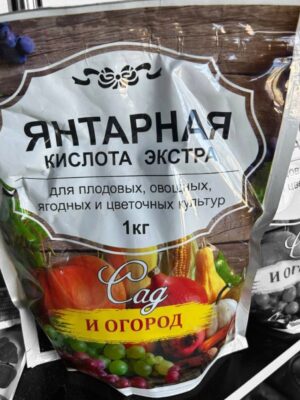 Yantarniy Kislota