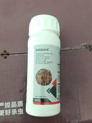 Leopard
