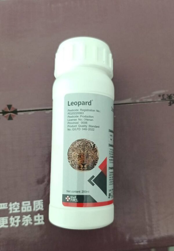 Leopard