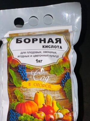 Borniy kislota