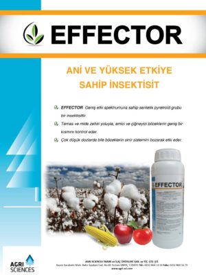 Effector