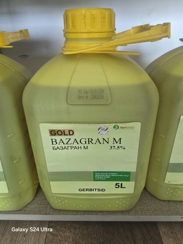 Gold Bazagran M