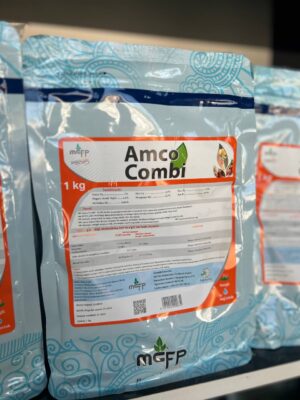 Amco Combi