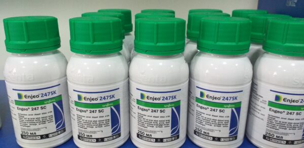 Enjeo 247 s.k.