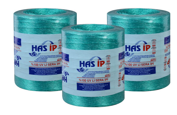 Has Ip - Image 2